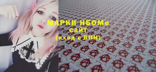 шишки Белокуриха