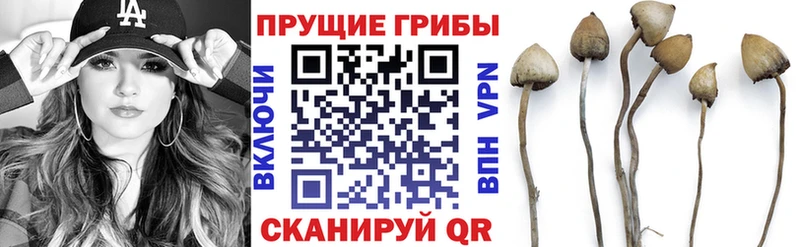 Галлюциногенные грибы ЛСД  купить наркоту  Миасс 