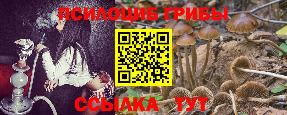 Галлюциногенные грибы Cubensis  Псилоцибиновые грибы Cubensis  Вход с VPN  Миасс 